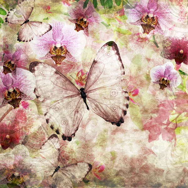 Бабочки и орхидеи цветы розовый фон (1 комплект) Стоковая Картинка
