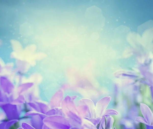 Колокольчик цветочный фон — стоковое фото