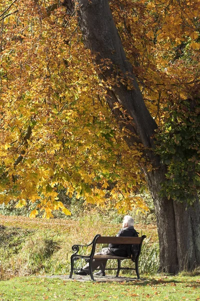 Осенняя скамья — стоковое фото