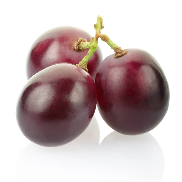 Красный виноград Лицензионные Стоковые Изображения