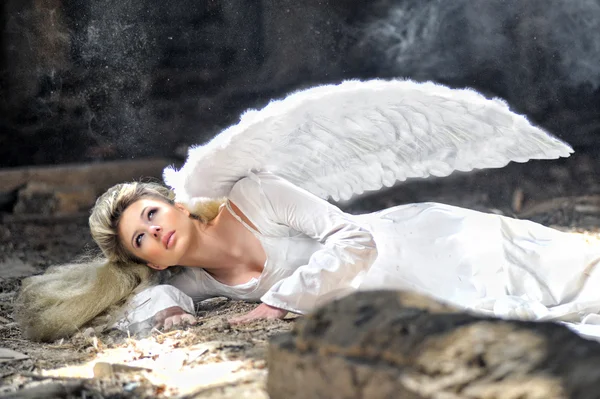 Ангел красоты Лицензионные Стоковые Фото