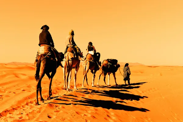 Караван верблюдов в пустыне Сахара Лицензионные Стоковые Изображения