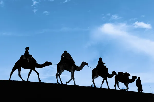 Силуэт караван верблюдов в пустыне Сахара Лицензионные Стоковые Фото