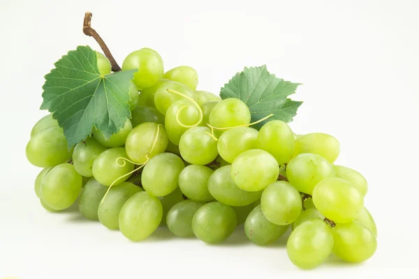 Свежий зеленый виноград с листьями. изолированные на белом — стоковое фото