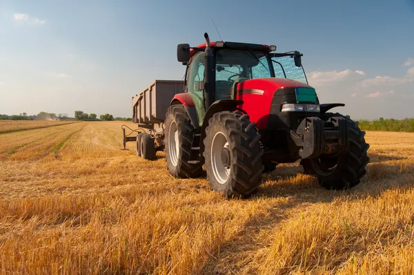 Современный красный трактор на сельскохозяйственной области в солнечный летний день — стоковое фото