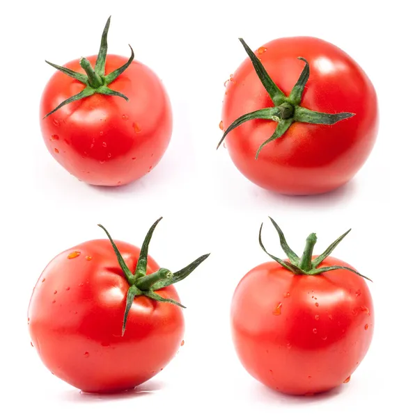 Сбор помидоров с каплями воды — стоковое фото