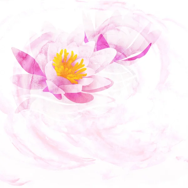 Розовая кувшинка Акварельные иллюстрации, изолированные на белом Стоковое Изображение