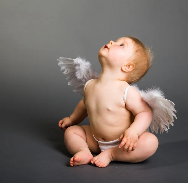 Младенческой ребенка с крыльями ангела на нейтральный фон — стоковое фото