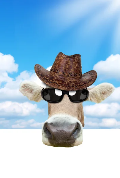 Голова коровы Лицензионные Стоковые Фото
