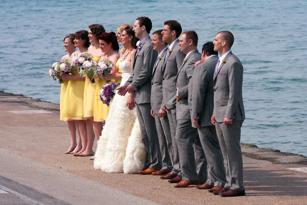 Свадьба занимает изображение на краю озера Мичиган Стоковое Фото