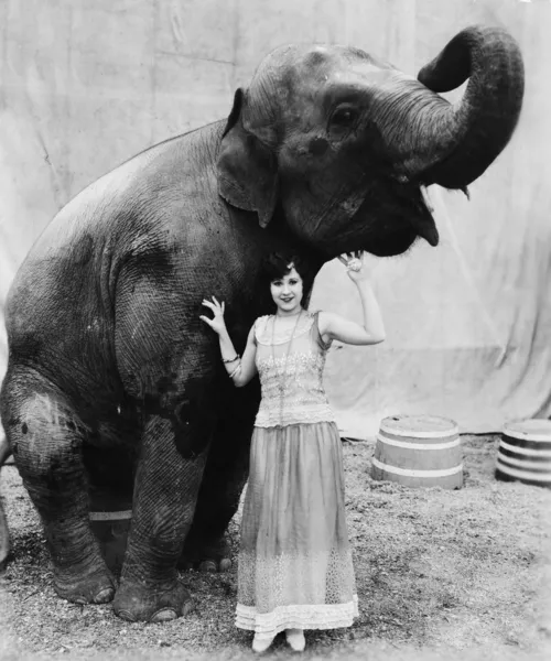 Портрет молодой женщины, стоя под слона — стоковое фото