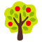 Гранатовое дерево фото