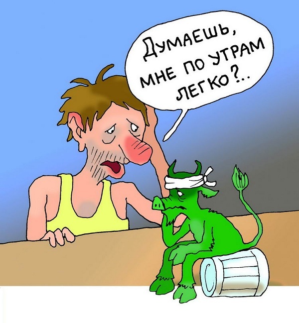На утро, с похмелья.( 70 фото)
