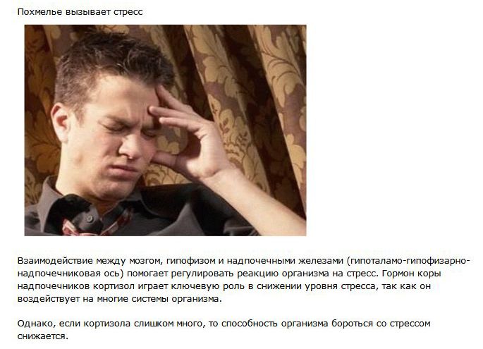 На утро, с похмелья.( 70 фото)
