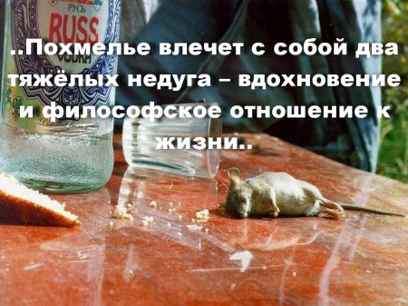 На утро, с похмелья.( 70 фото)