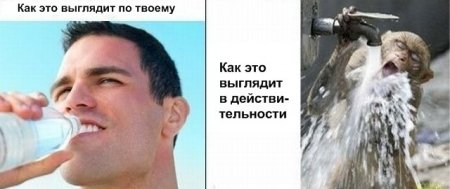 На утро, с похмелья.( 70 фото)