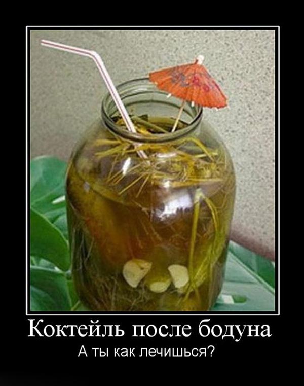 На утро, с похмелья.( 70 фото)