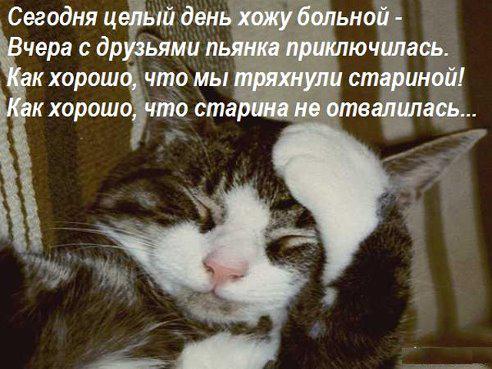 На утро, с похмелья.( 70 фото)