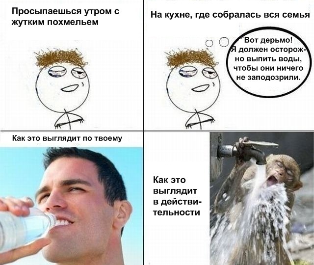 На утро, с похмелья.( 70 фото)