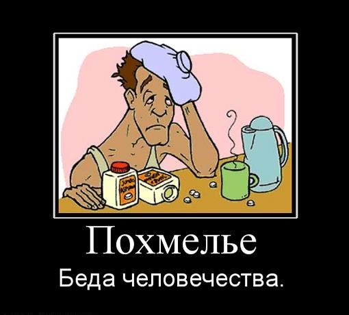 На утро, с похмелья.( 70 фото)