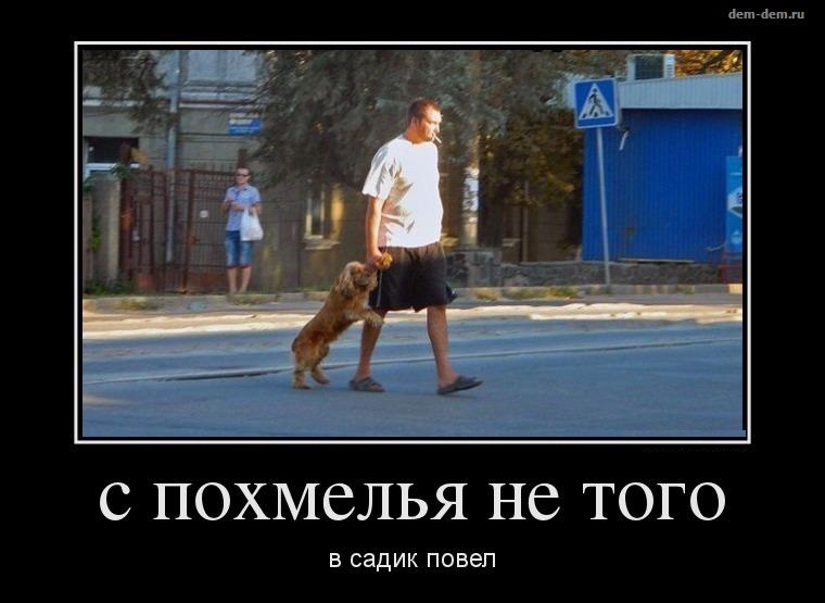 На утро, с похмелья.( 70 фото)