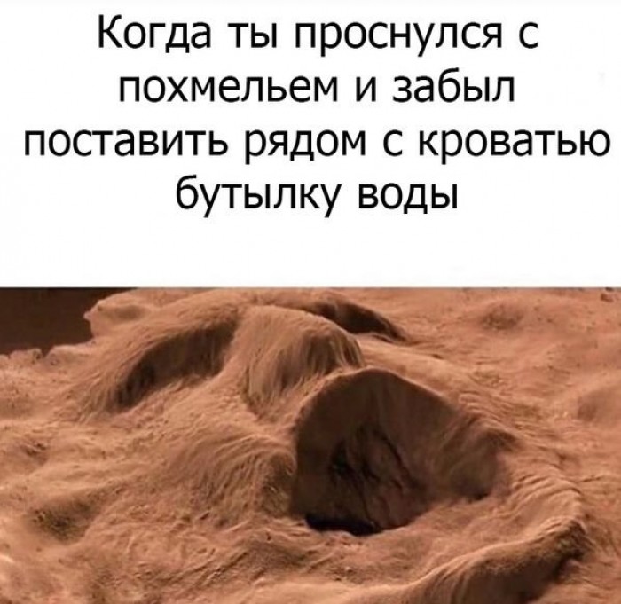 На утро, с похмелья.( 70 фото)