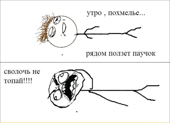 На утро, с похмелья.( 70 фото)