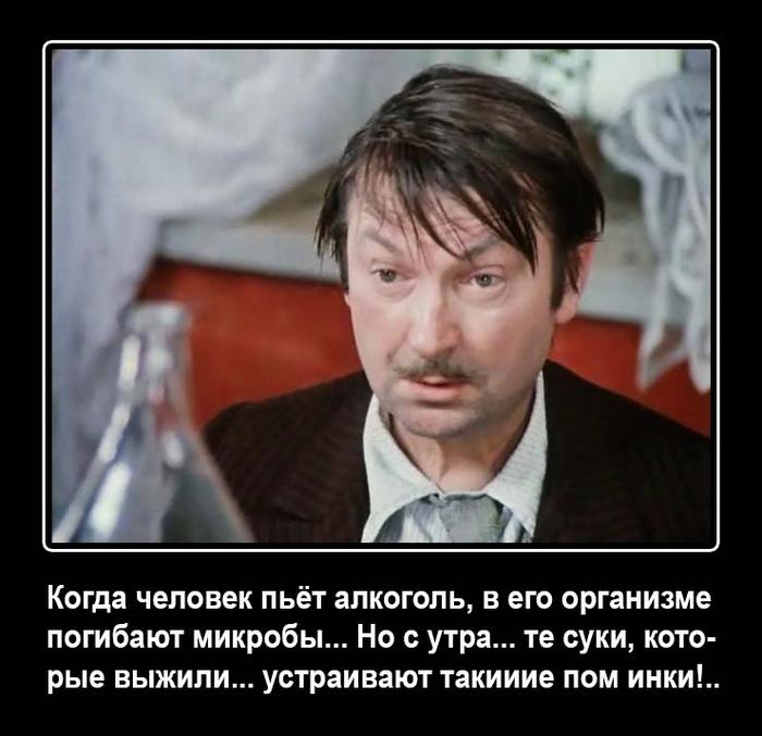 На утро, с похмелья.( 70 фото)