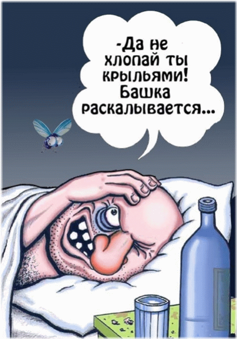 На утро, с похмелья.( 70 фото)
