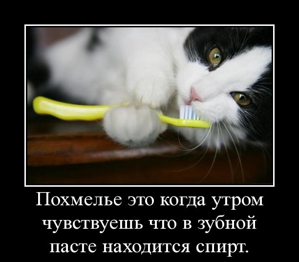 На утро, с похмелья.( 70 фото)